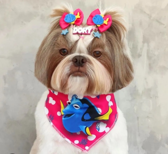 KIT LAÇOS E BANDANA TEMÁTICA PARA PETS