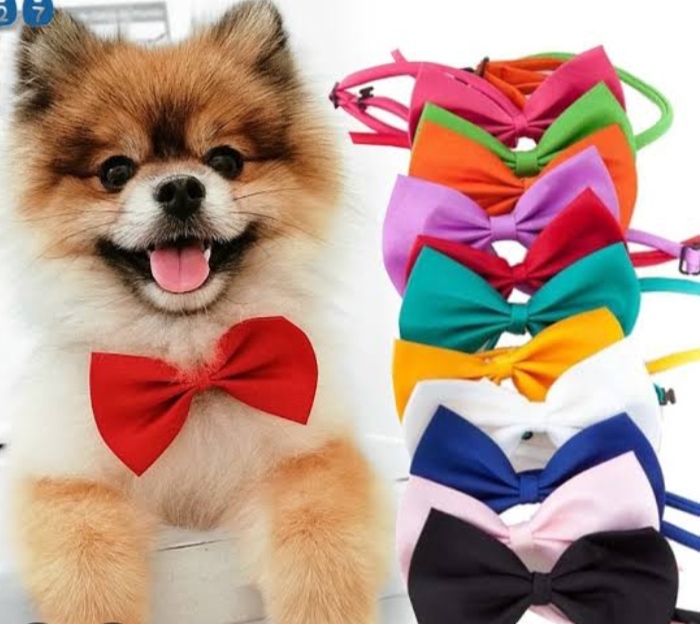 KIT GRAVATAS BORBOLETA COLORIDAS PARA PETS