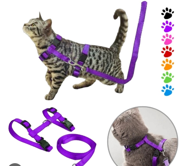 PEITORAL COM GUIA PARA GATOS